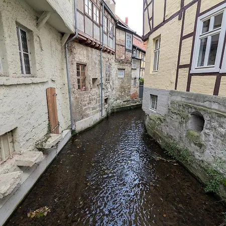 Bornholzweg In 157 Qm Σπίτι διακοπών Quedlinburg