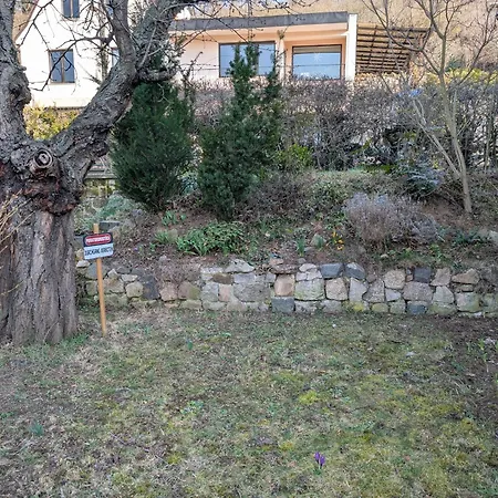 Bornholzweg In 157 Qm * Quedlinburg