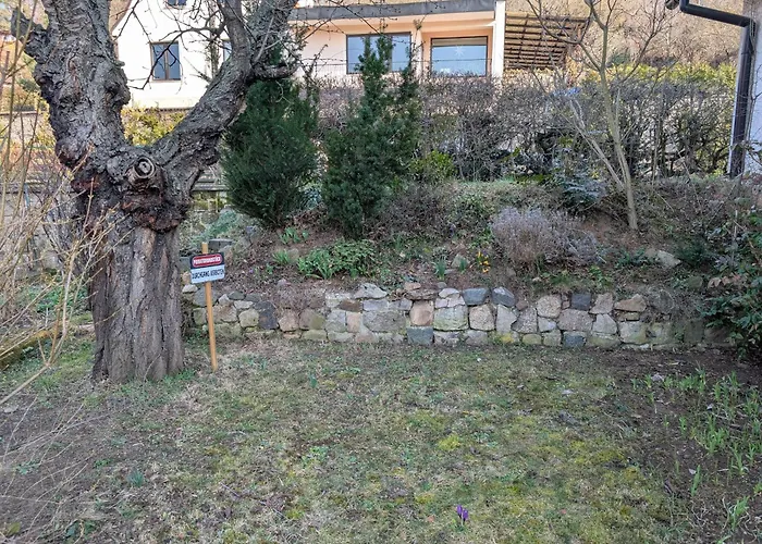 Bornholzweg In 157 Qm * Quedlinburg