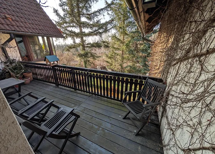 Bornholzweg In 157 Qm * Quedlinburg